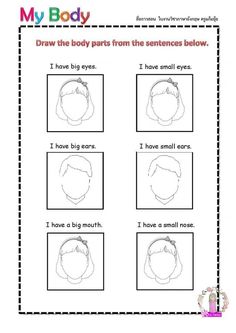 the worksheet for how to draw body parts from the head and neck, with instructions