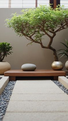 there is a bonsai tree and two rocks on the ground next to each other