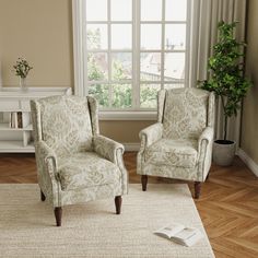 two chairs sitting on top of a rug in front of a window next to a potted plant