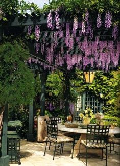 an outdoor dining area with wisters hanging over the table and chairs on the patio