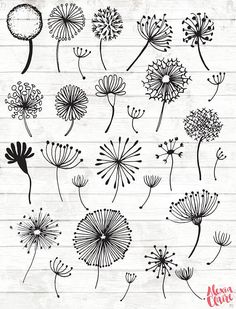 the dandelions are drawn in black and white on a piece of paper,