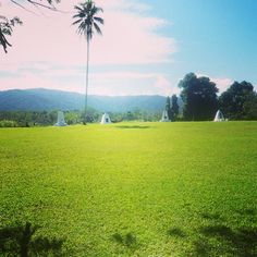 an empty field with trees and mountains in the background