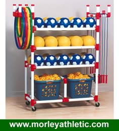 a toy shelf with baskets and balls on it