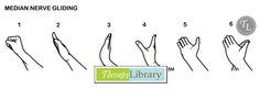 Median Nerve Gliding Exercises Nerve Glides, Pt School, Peripheral Nervous System, Physical Rehabilitation, Hand Therapy