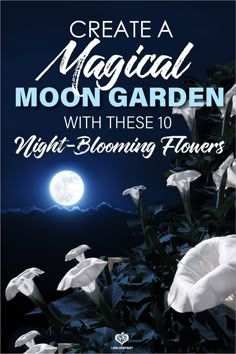 white flowers with the words create a magic garden with these night - blooming flowers