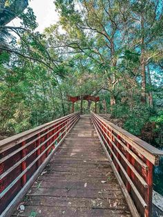 a wooden bridge over a river surrounded by trees