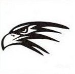 an eagle head is shown in black and white, with the word eagles on it