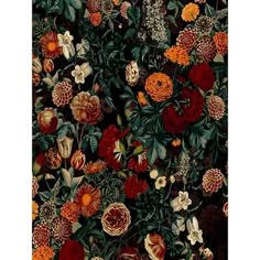 an image of flowers and leaves on a black background with red, orange, yellow and white colors