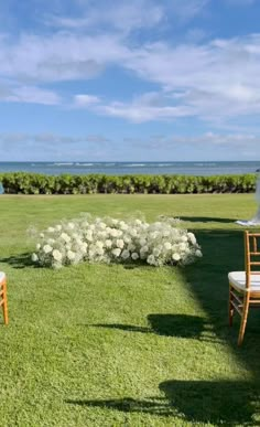 two chairs sitting on top of a lush green field next to a white flower bush