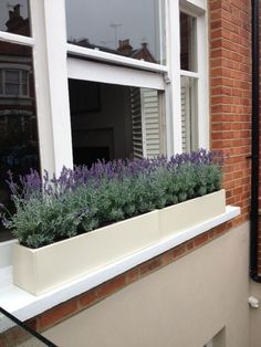 a window box filled with purple flowers next to a brick building