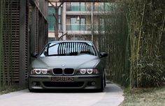 a green car parked in front of a tall bamboo tree lined building on the side of a road