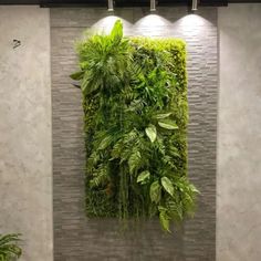 a living wall with plants and lights on it