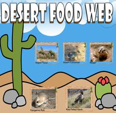 the desert food web has pictures of animals and plants