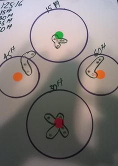 four circles with numbers on them and an orange dot in the middle that has been drawn