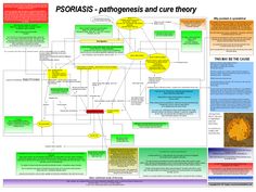 My psoriasis cause and cure theory. High resolution PDF infographic is available for free here - http://www.psoriasisdietplan.com/2014/08/psoriasis-cause-and-cure-theory.html Fungal Rash, Eye Floaters, Fungal Infection, Amino Acids, Pune, Diet Plan, Vitamins, Diet, Health