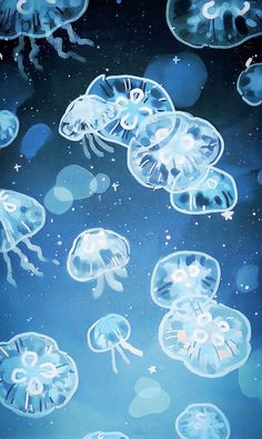 Shawn Mendes And Camila Cabello, Sea Life Wallpaper, Jellyfish Pictures, Computer Wallpaper Hd, Fish Background, The Best Wallpapers, Cute Home Screens, Ocean Backgrounds