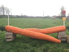 two large carrots sitting on top of logs in the middle of a grass field