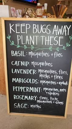 Plants That Repel Bugs, Home Vegetable Garden, Garden Yard Ideas, Veggie Garden, Garden Stuff, Lawn And Garden, Garden Yard, Permaculture, Plant Life