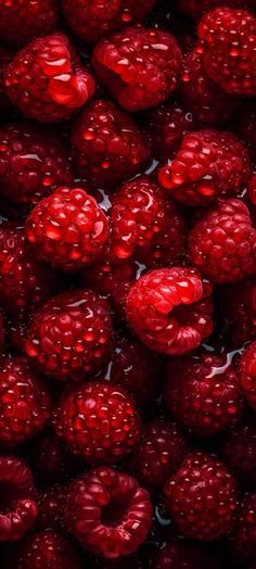 red raspberries with water droplets on them