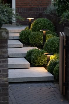 some steps that have lights on them in the middle of their way to an entrance