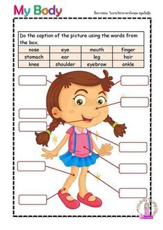 the parts of a body worksheet for kids with pictures and words on it