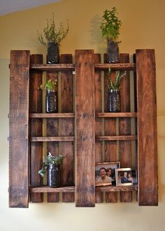 two wooden shelves with plants and pictures on them