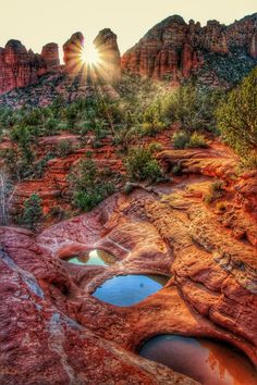 the sun shines brightly over red rocks and water in a canyon area with small pools surrounded by trees