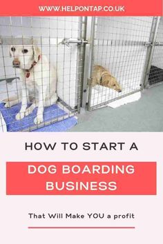 a dog in a kennel with the words how to start a dog boarding business that will make you a proffit