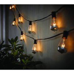 light bulbs are hung on the wall with string lights around them and plants in pots