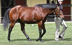 a man leading a brown horse on top of a lush green grass covered field in front of a building