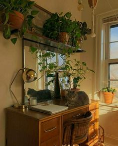 a cat sitting on top of a wooden desk next to a potted plant in front of a window