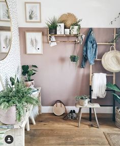 a room with plants and pictures on the wall