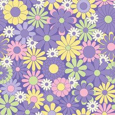 an image of colorful flowers on a purple background