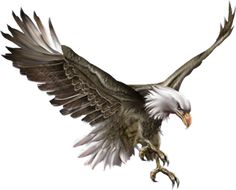 an eagle flying in the air with its wings spread out and taloning it's claws