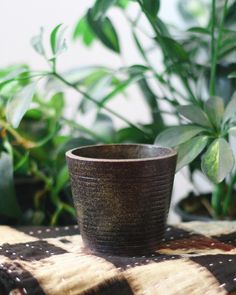 a black cup sitting on top of a table next to some green plants and potted plants