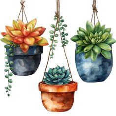 three potted plants hanging from ropes with green leaves and flowers on them, painted in watercolor