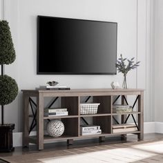 a flat screen tv sitting on top of a wooden entertainment center next to a potted plant