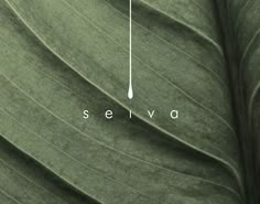 a green leaf with the word selva on it's side and an arrow pointing