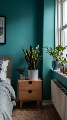 a bedroom with teal walls and plants on the nightstands in front of the bed