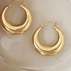 The Ainya chunky oval hoop earrings is the perfect season after season piece. It is exceptionally versatile, luxurious & effortless. Aesthetic Gold Hoop Earrings, Brandy Melville Gold Hoop Earrings, Earring Gold Hoop, Gold Oval Hoop Earrings, Gold Earring Hoop, Earring Ring Hoop, Golden Hoop Earrings Aesthetic, Cute Earrings Hoops, Earings Aesthetics