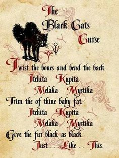 Hocus Pocus! Hermanas Sanderson, Hocus Pocus Spell, Halloween Spell Book, Hocus Pocus Spell Book, Halloween Spells, Halloween Forum, Book Of Spells