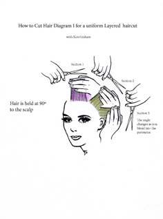 Lift the section up with your comb at 90ºand cut the hair parallel to the scalp at the desired length. Continue over the top of the head to the crown, taking small sections at 90º making sure each cut section is parallel to the scalp, and this will produce an arc shape. Lisa Rinna Haircut, Hair In Layers, How To Cut Hair, Lisa Rinna, Cut Hair