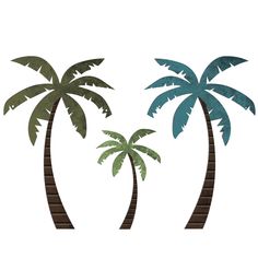 three palm trees on a white background