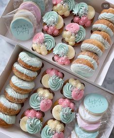 two boxes filled with different types of cupcakes