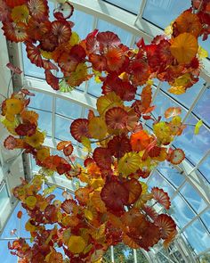 the glass flowers are hanging from the ceiling in the building's atrium area,