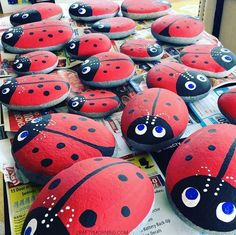 there are many red and black ladybugs on display