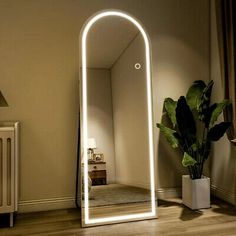 a large white mirror sitting on top of a wooden floor next to a potted plant