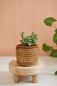 a small potted plant sitting on top of a wooden stand