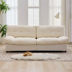 a white couch sitting on top of a wooden floor next to a potted plant