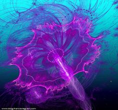 an abstract purple flower on blue and green water with bubbles in the bottom right corner